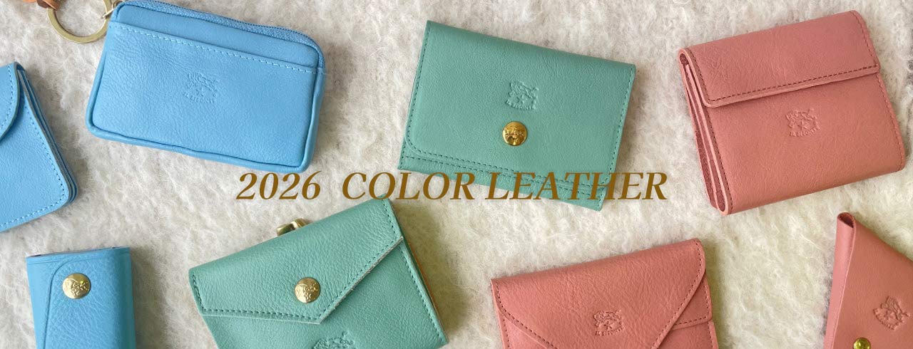 2026 COLOR LEATHER COLLECTION 